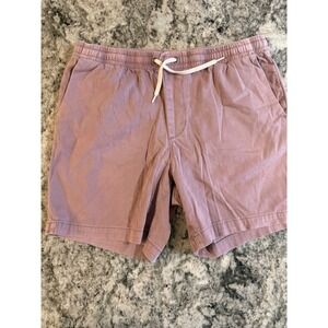 PacSun Volley Shorts Mens Medium Dusty Rose Mauve Elastic Drawstring Casual